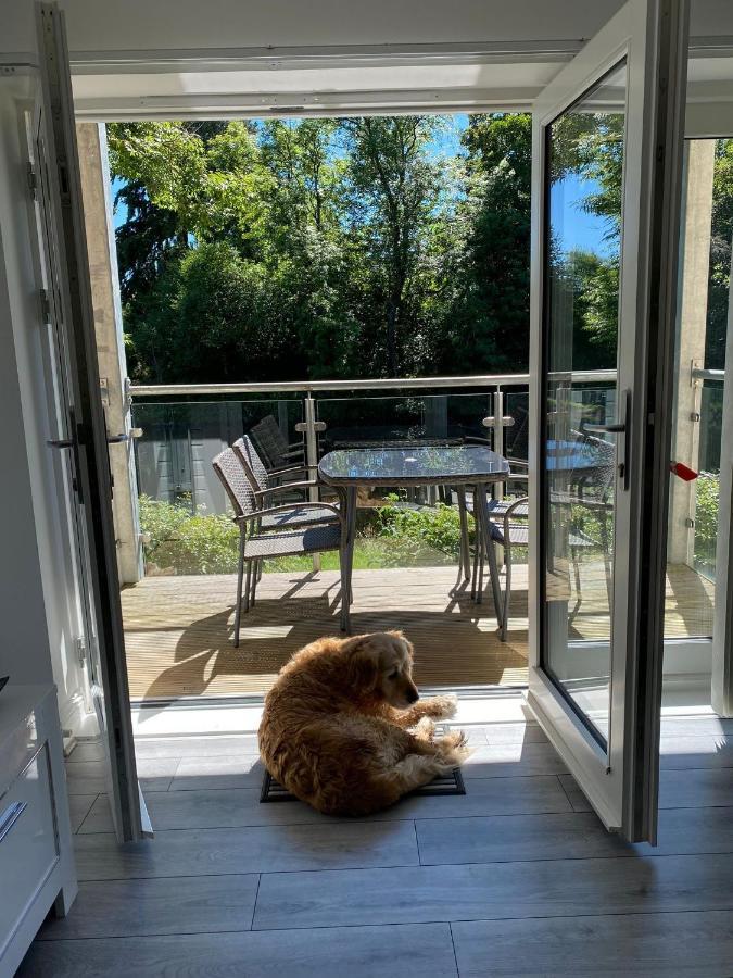 Beautiful Riverside Holiday Home Callander Exteriör bild